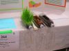 TVSEF_2025_Gen_14