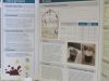 TVSEF_2026_Gen_27